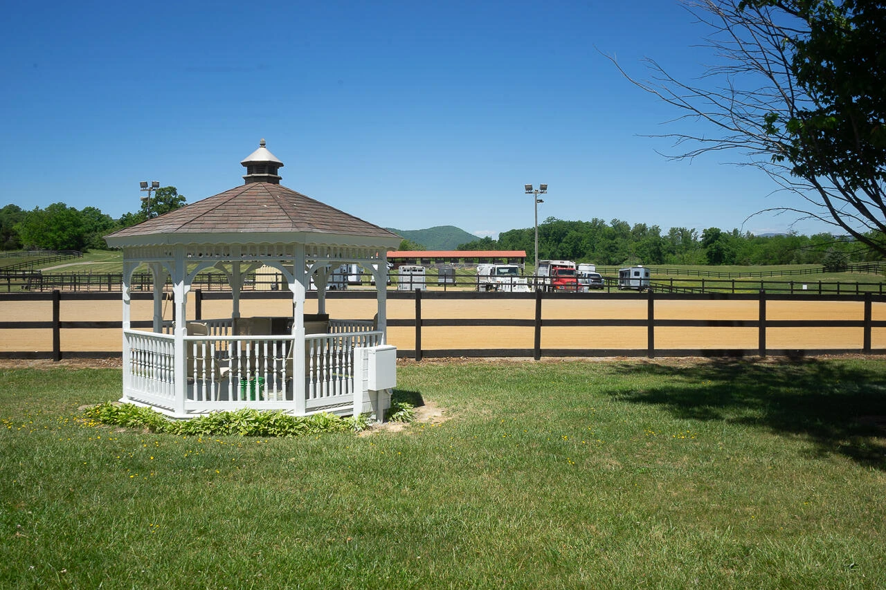 100 Equus - Photo 29