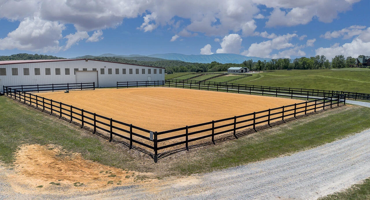 100 Equus - Photo 4