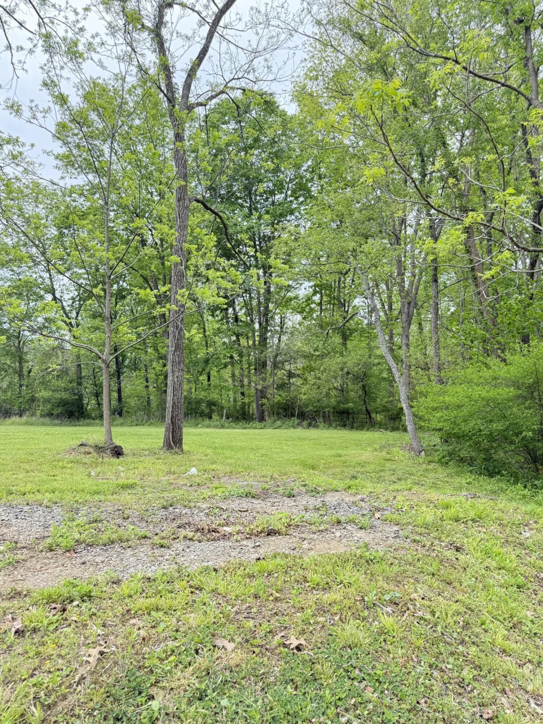 6318 Jackson River Rd - Photo 62