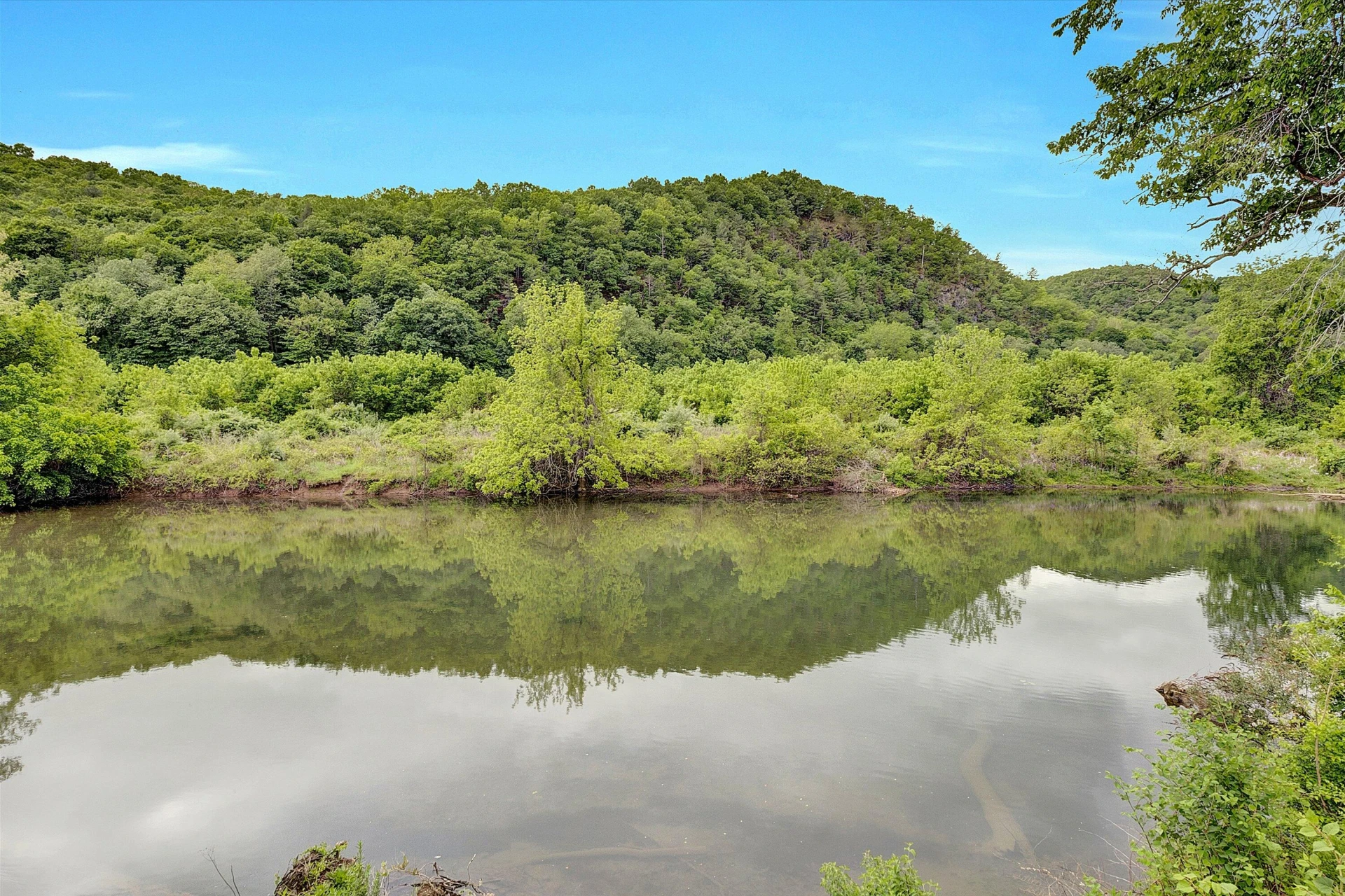 2015 Evergreen Rd - Photo 37