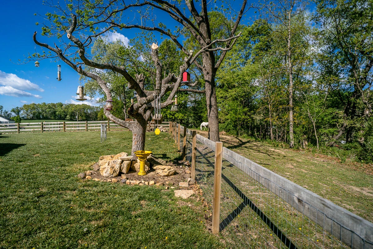 99 Mount Ida Ln - Photo 53