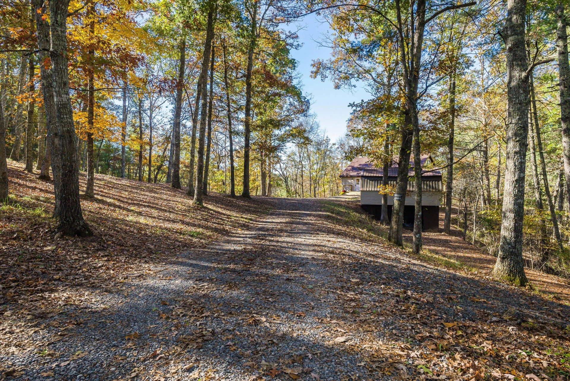 65 Mountain Deer Run - Photo 3