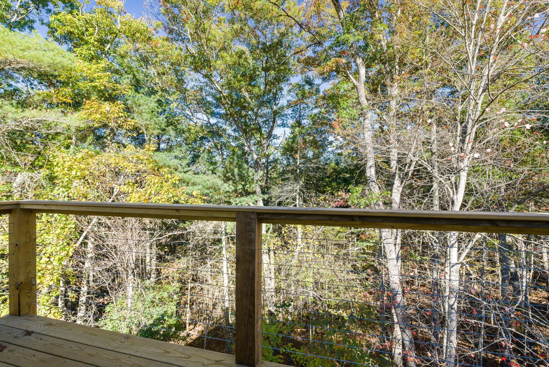 65 Mountain Deer Run - Photo 35