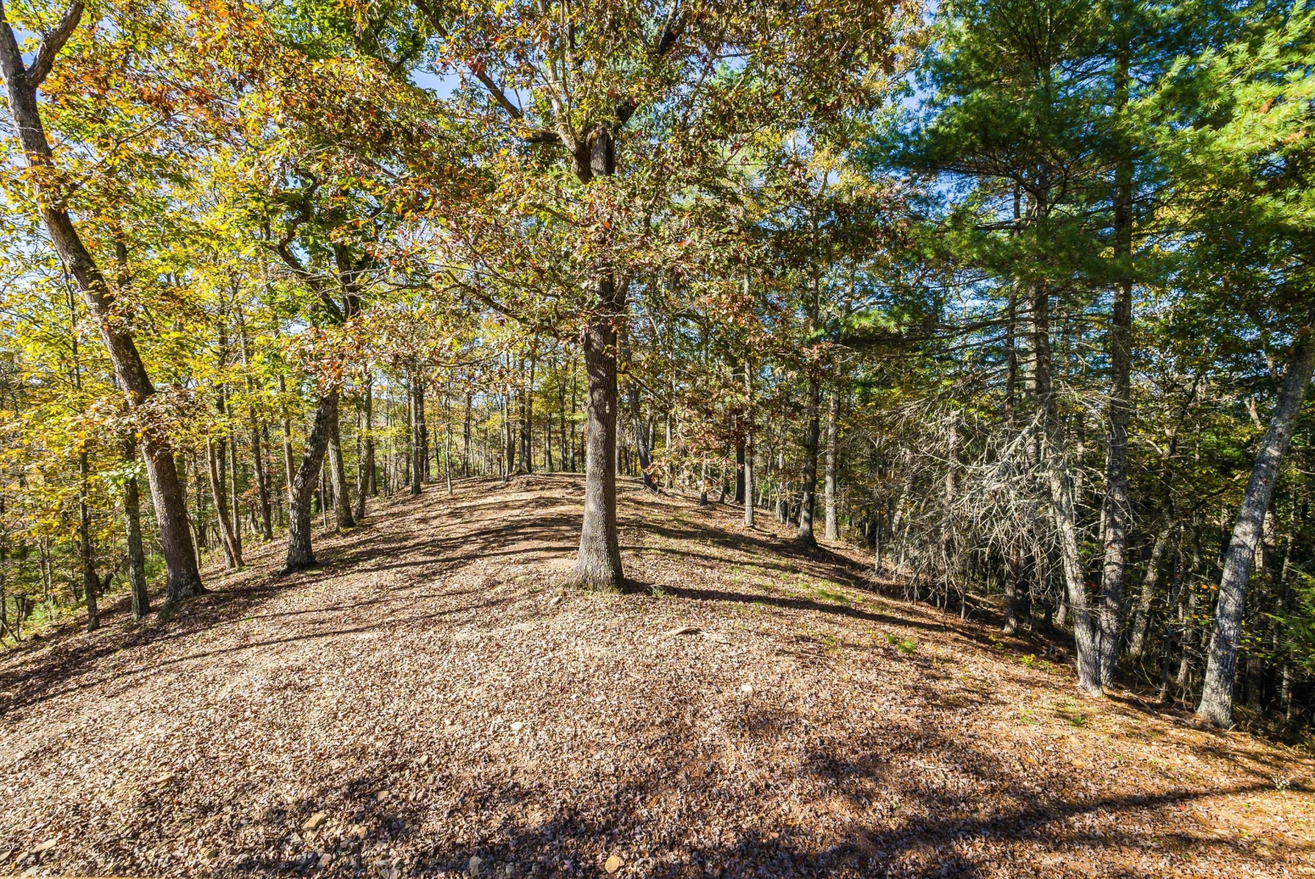 65 Mountain Deer Run - Photo 55