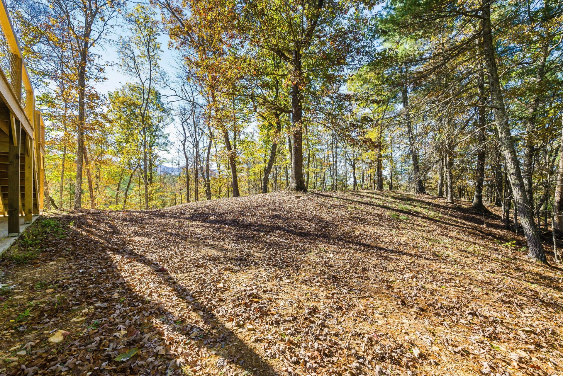 65 Mountain Deer Run - Photo 58