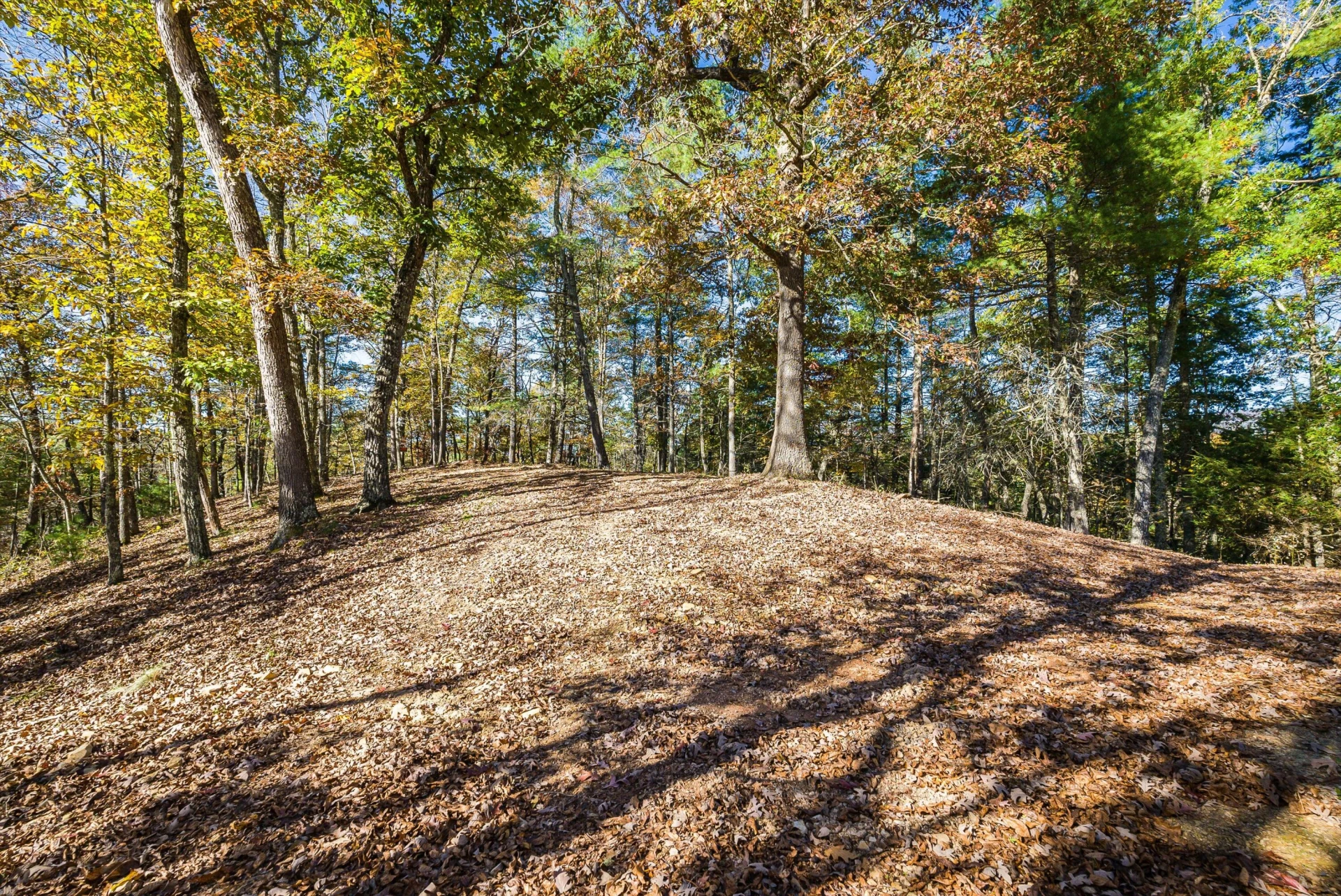 65 Mountain Deer Run - Photo 59