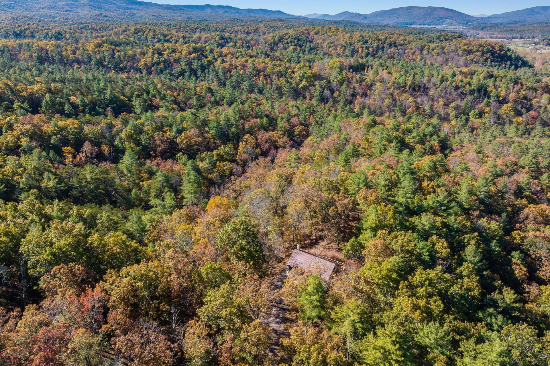 65 Mountain Deer Run - Photo 70