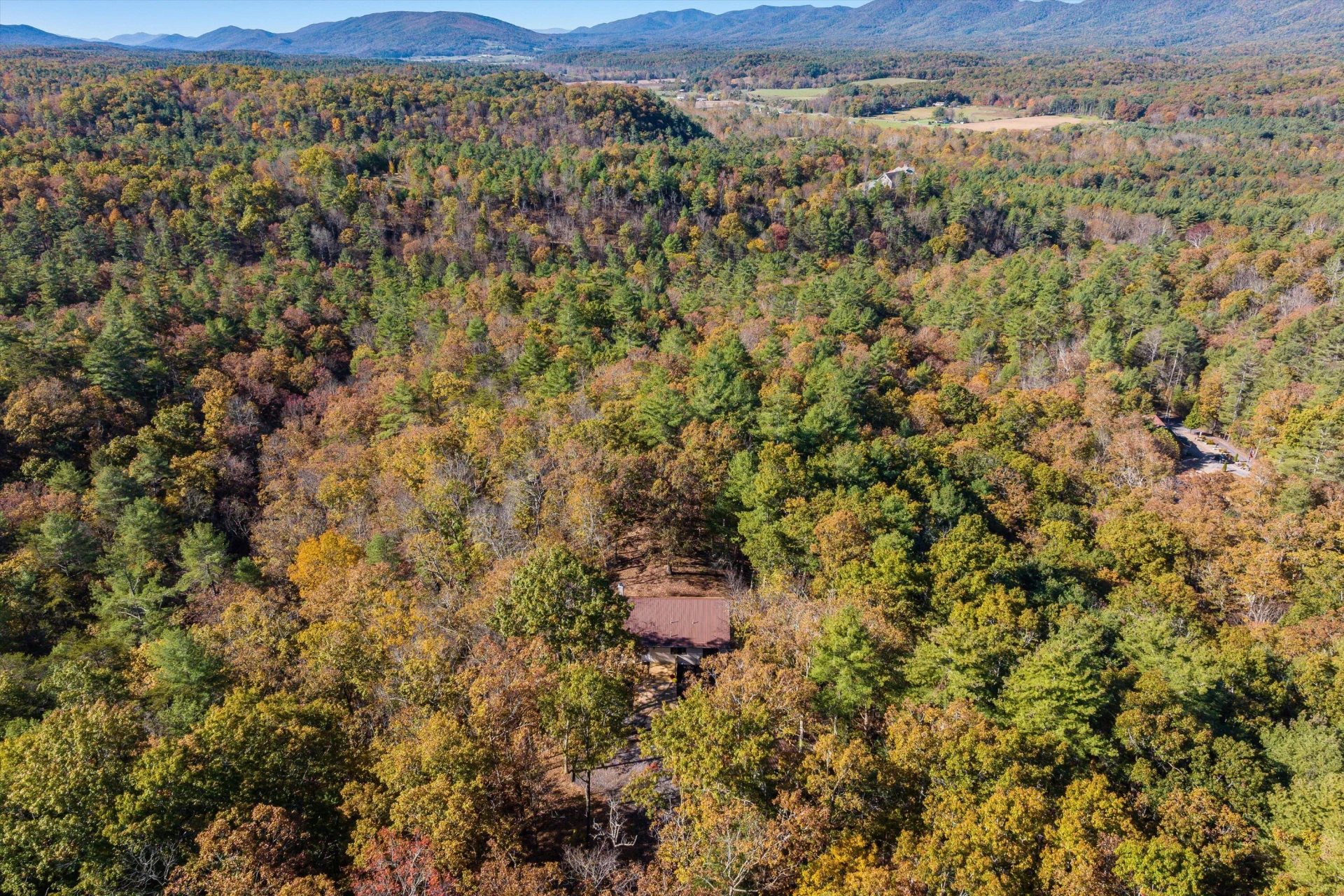 65 Mountain Deer Run - Photo 71