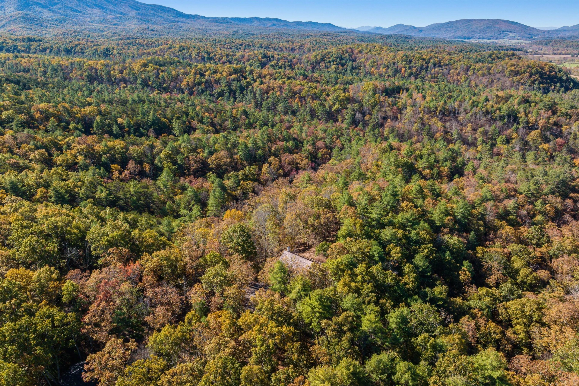 65 Mountain Deer Run - Photo 72