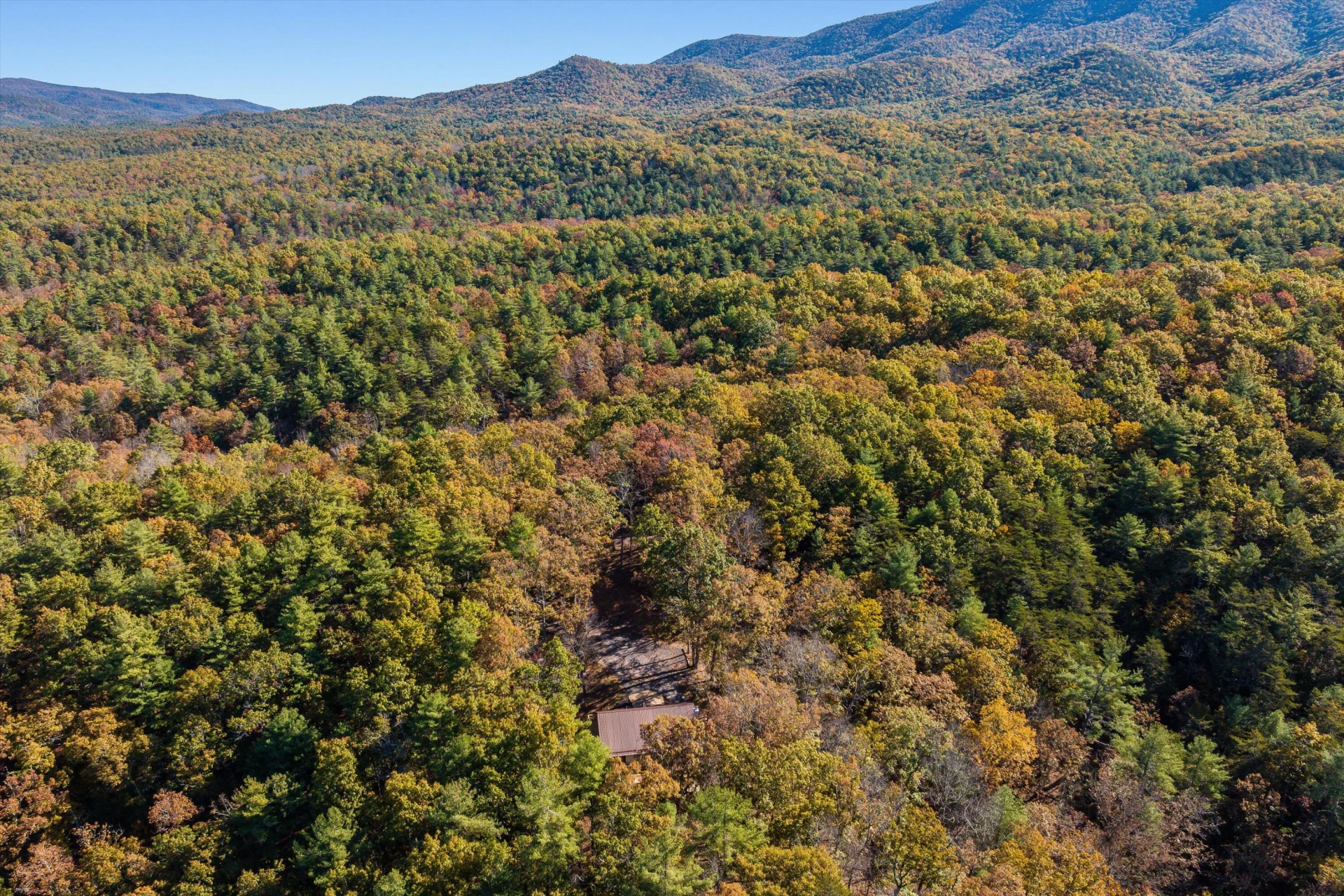 65 Mountain Deer Run - Photo 74