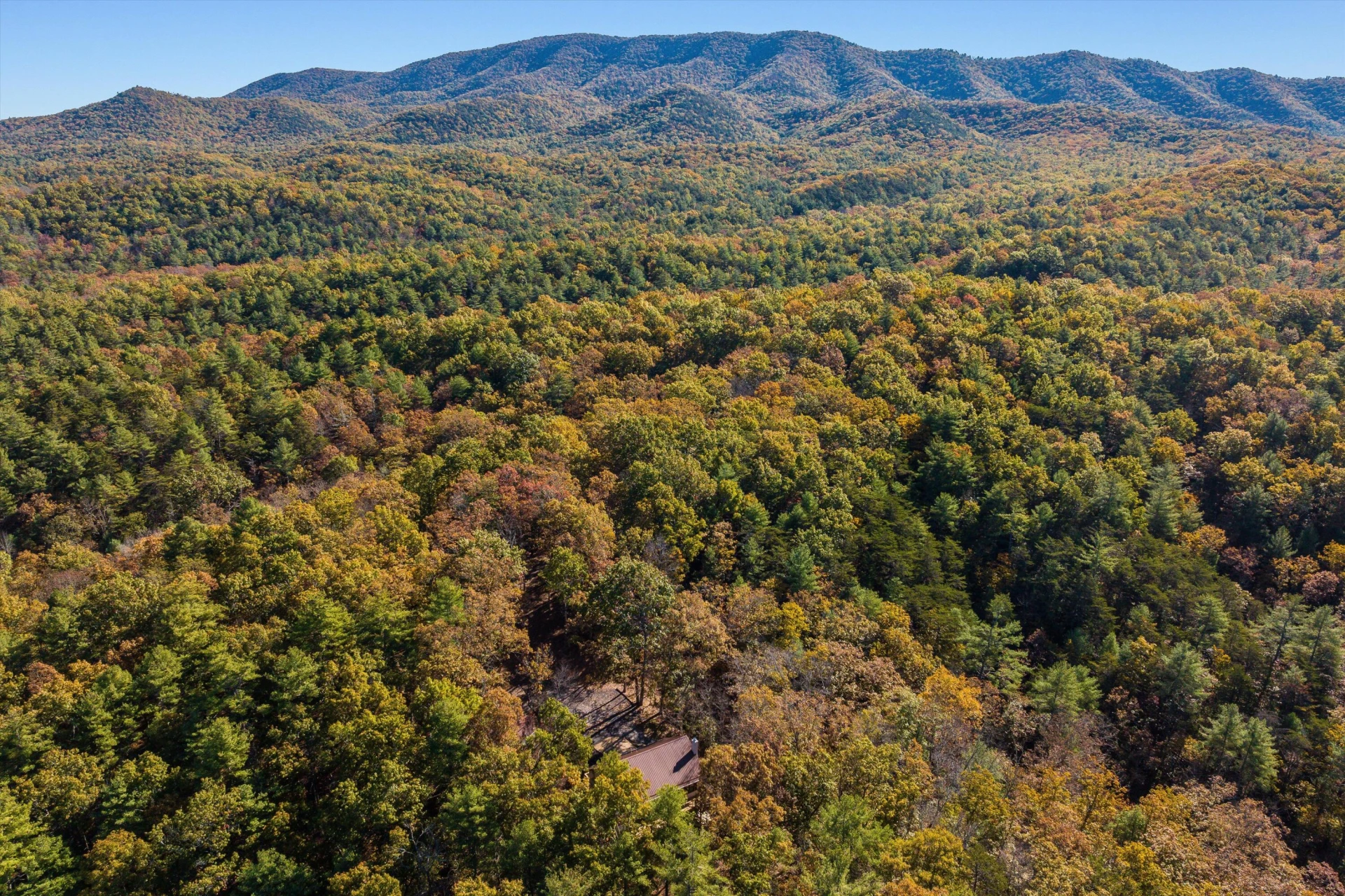 65 Mountain Deer Run - Photo 75