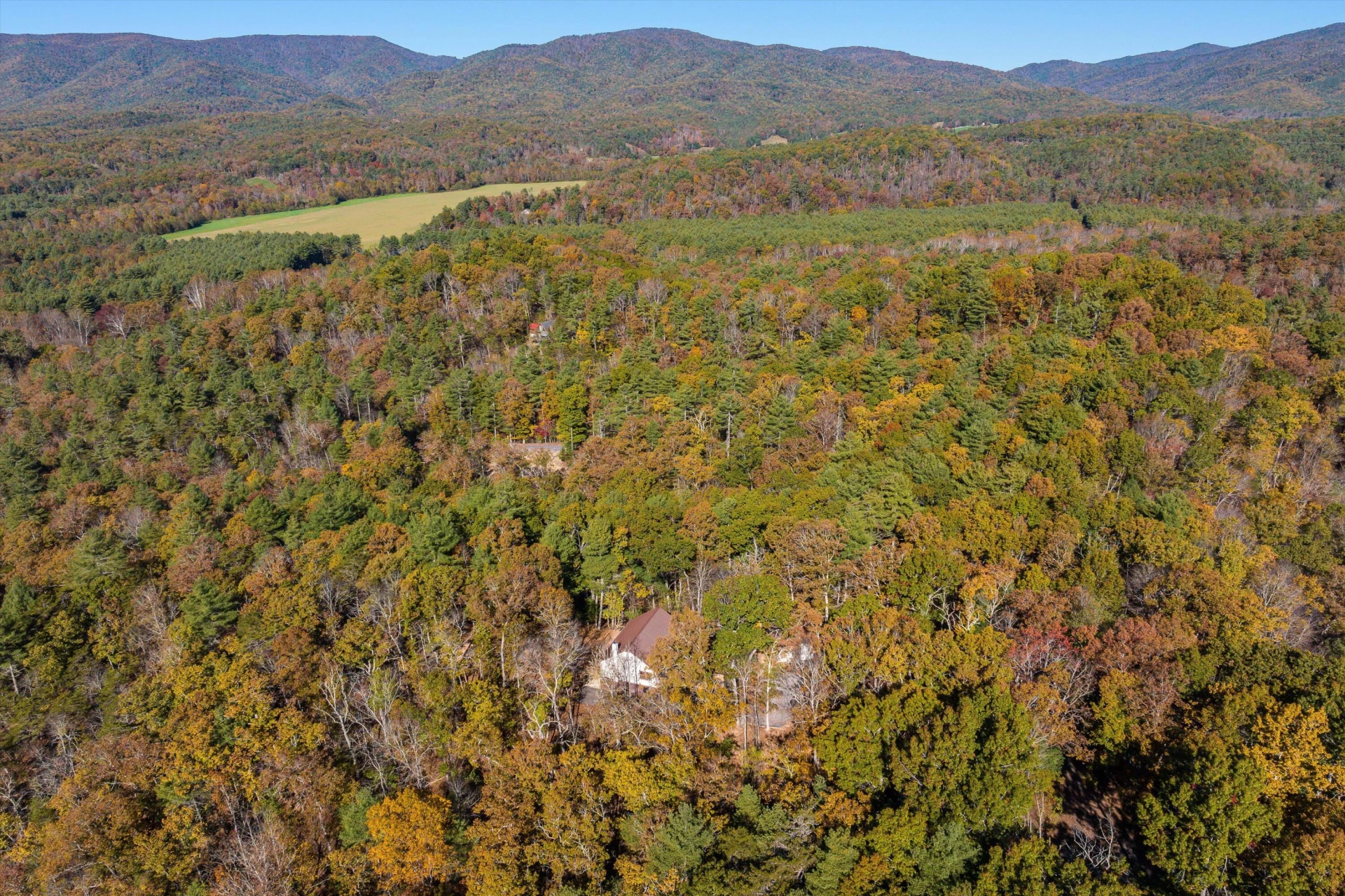 65 Mountain Deer Run - Photo 78