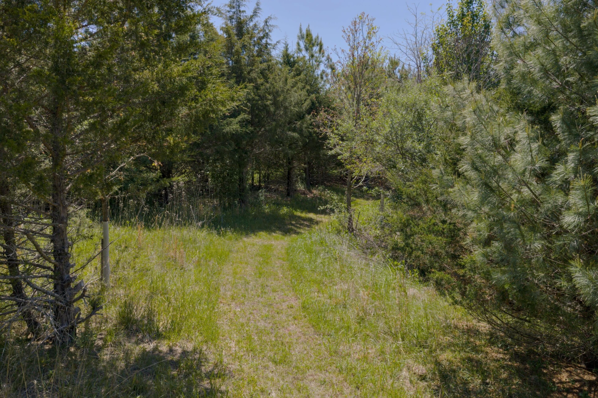 181 Windy Mile Ln - Photo 62