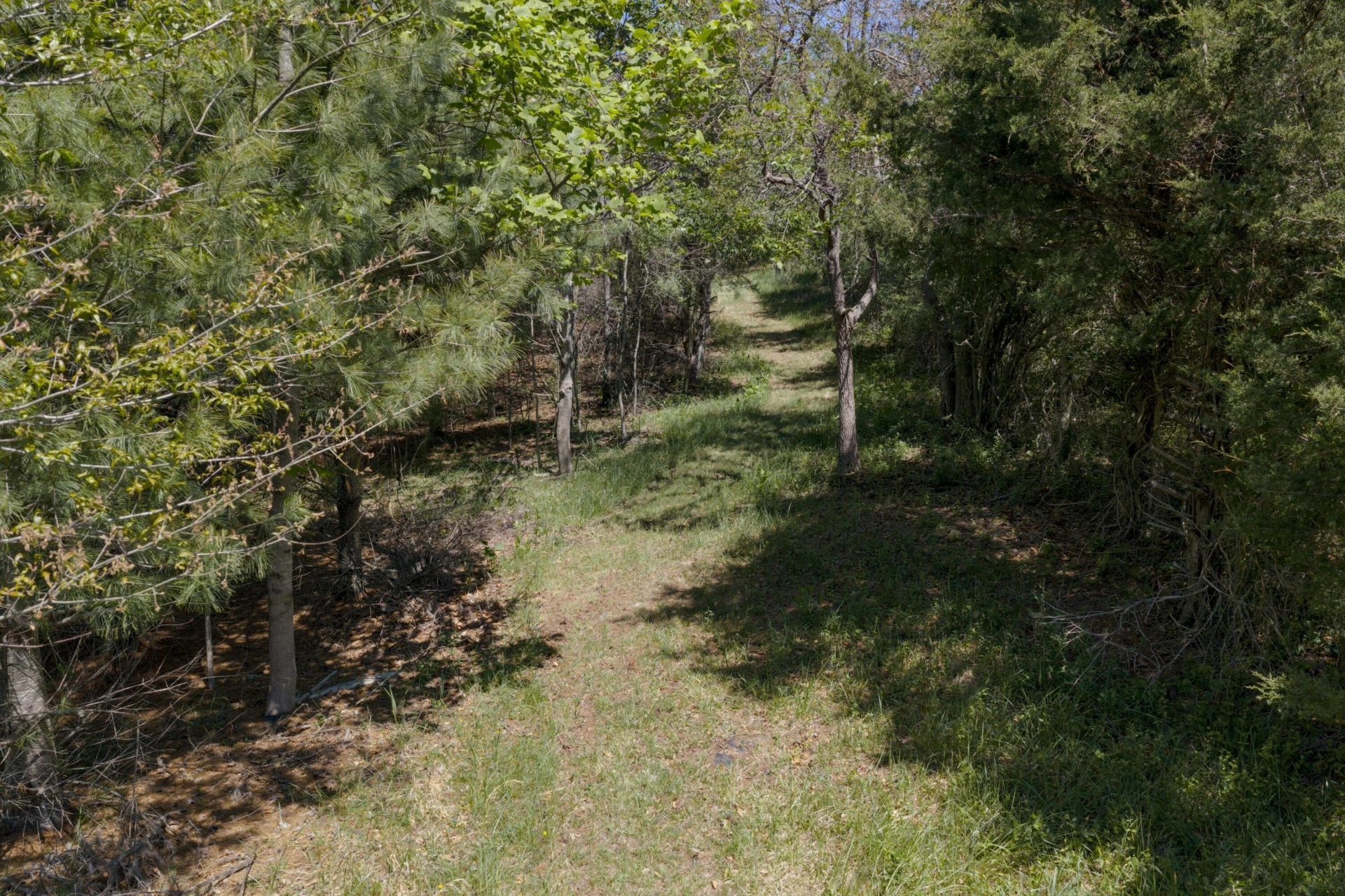 181 Windy Mile Ln - Photo 65