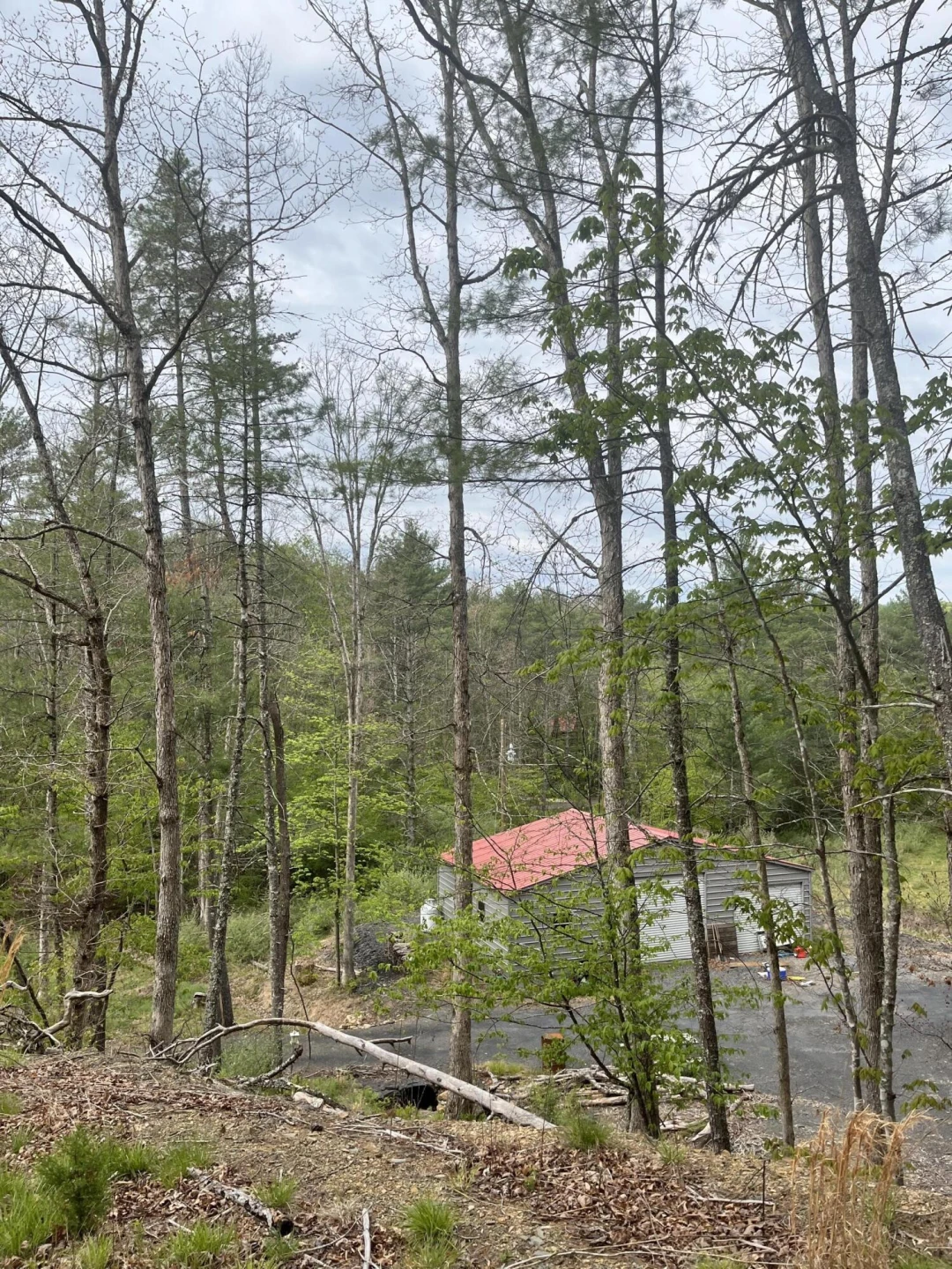 383 Creekside Dr - Photo 10