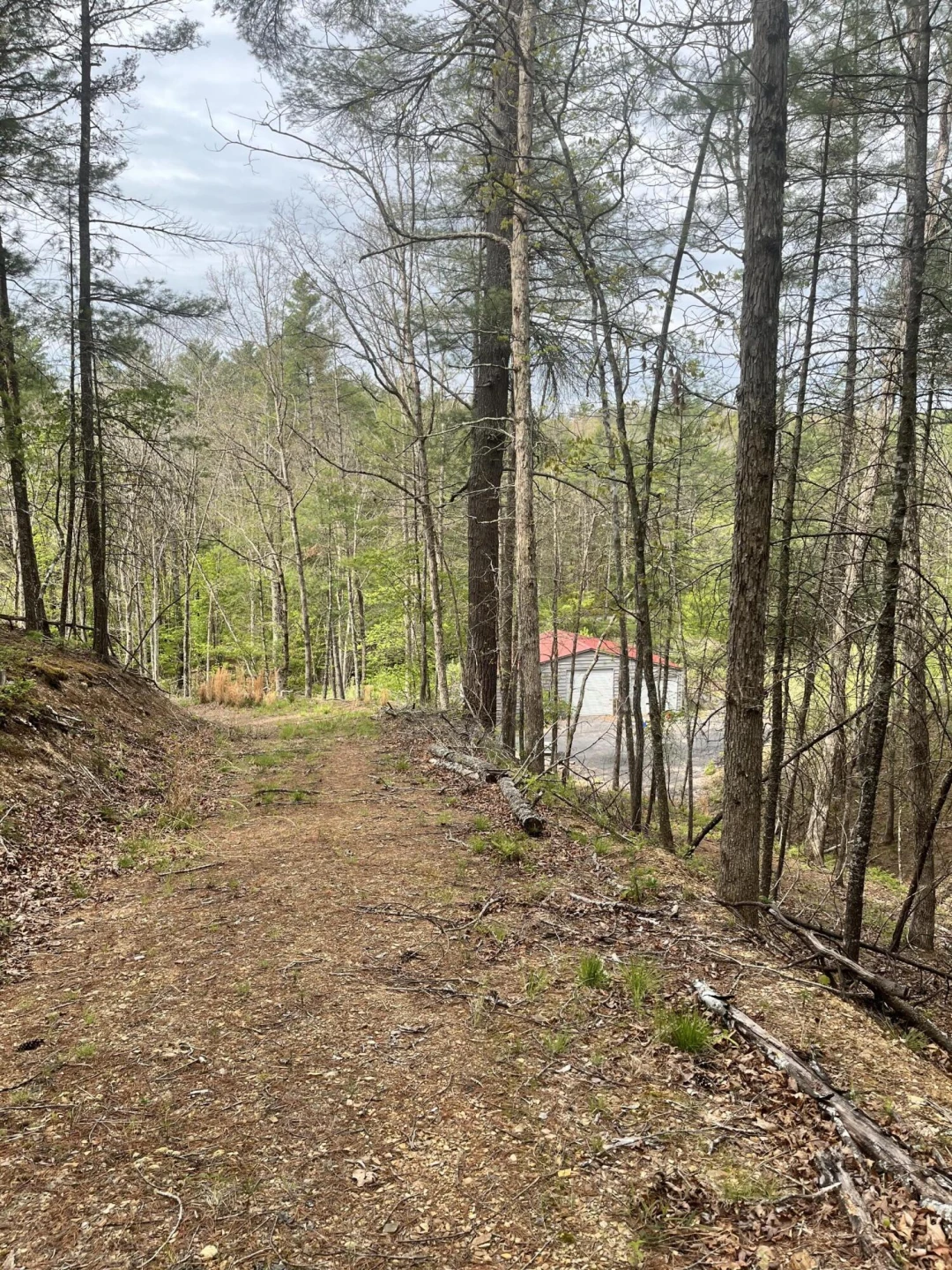 383 Creekside Dr - Photo 17