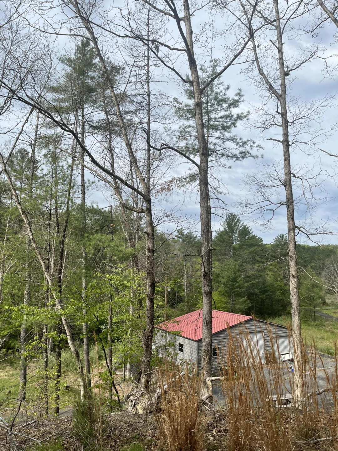 383 Creekside Dr - Photo 2