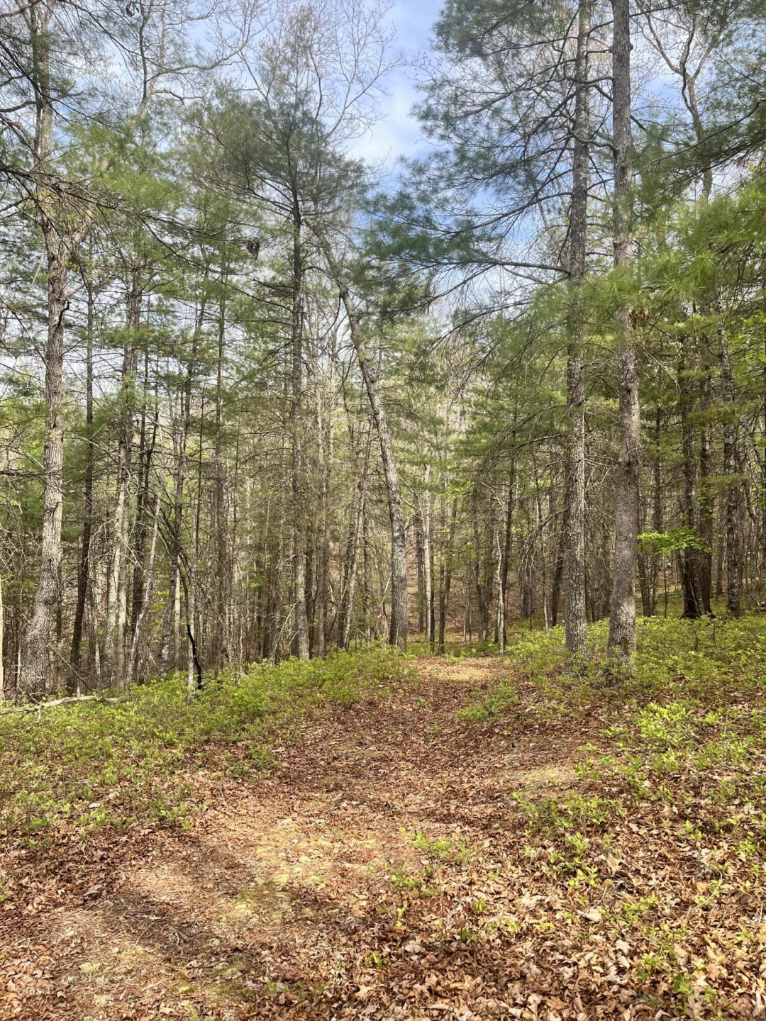 383 Creekside Dr - Photo 21