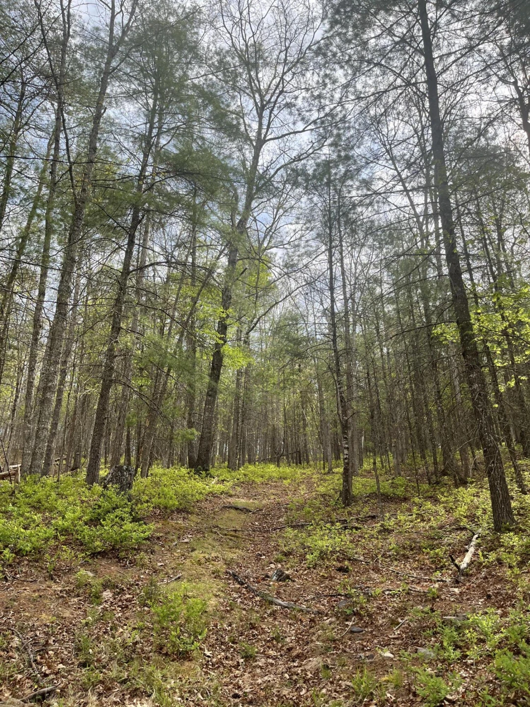 383 Creekside Dr - Photo 22
