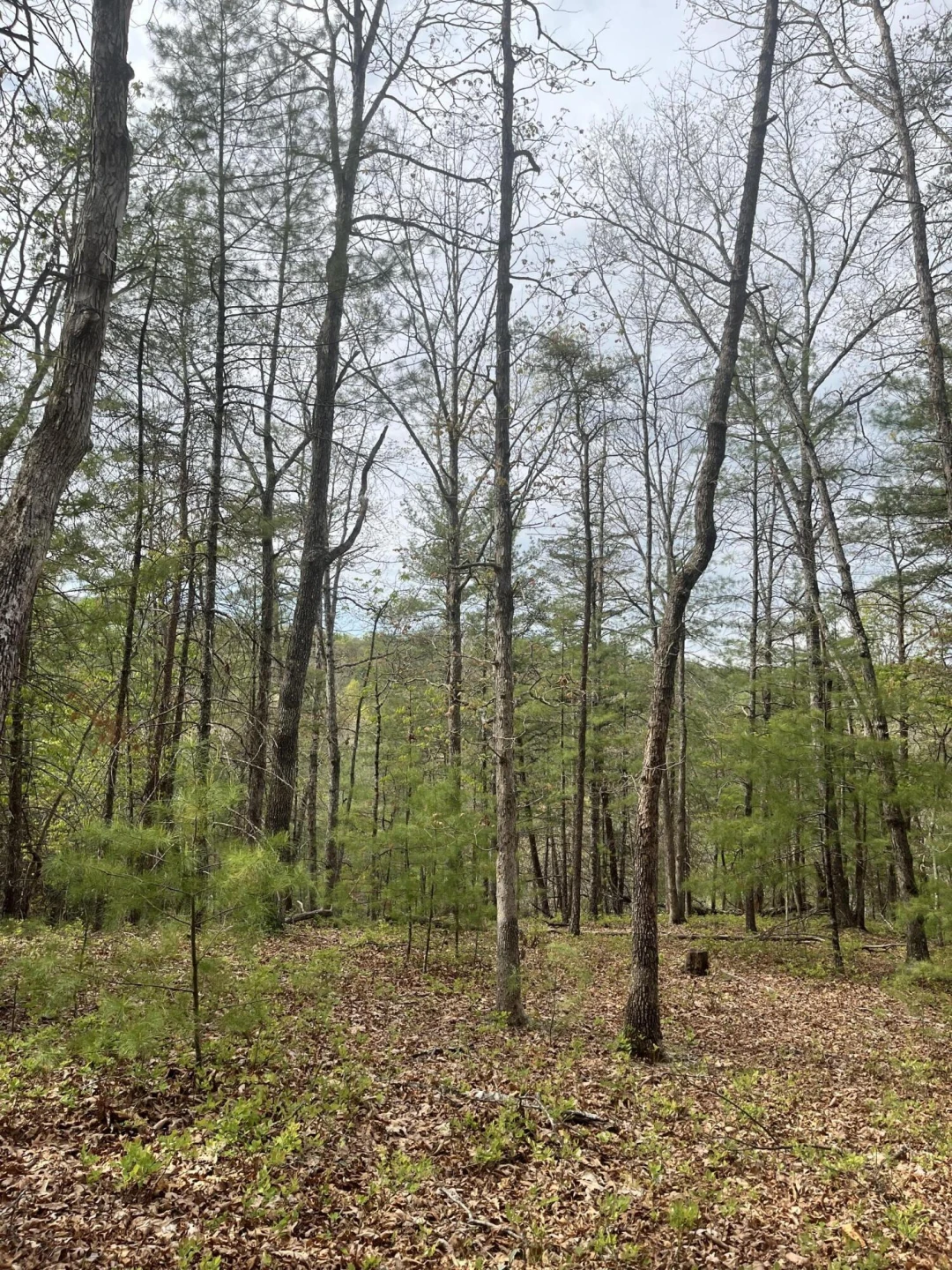 383 Creekside Dr - Photo 24