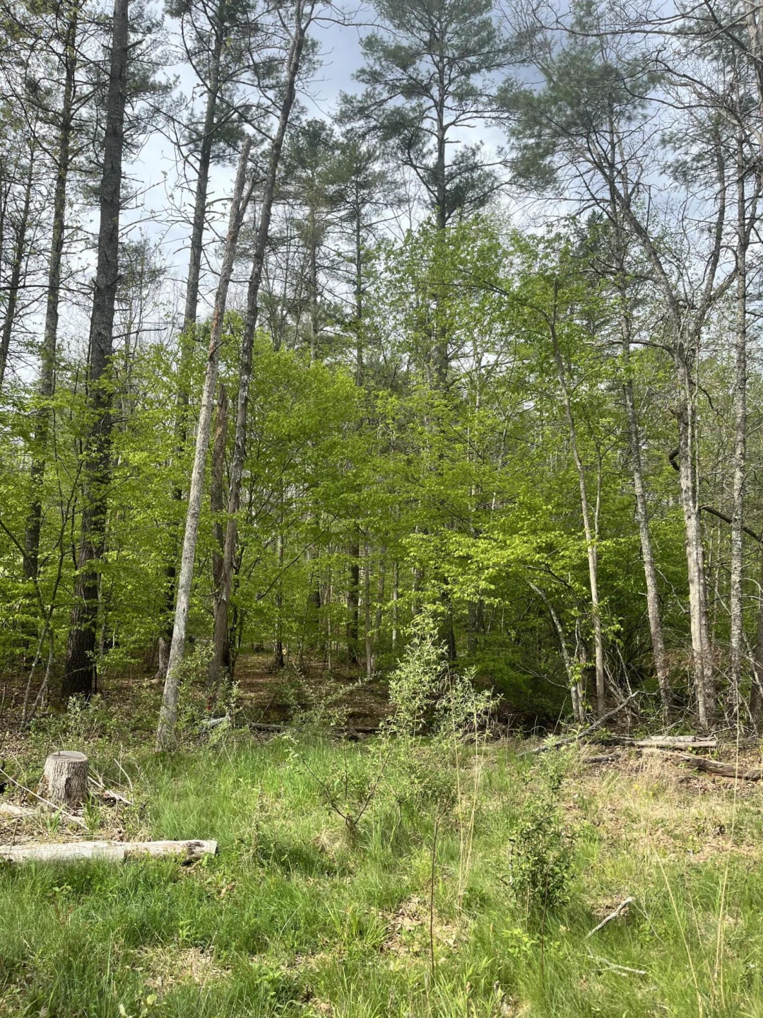 383 Creekside Dr - Photo 25