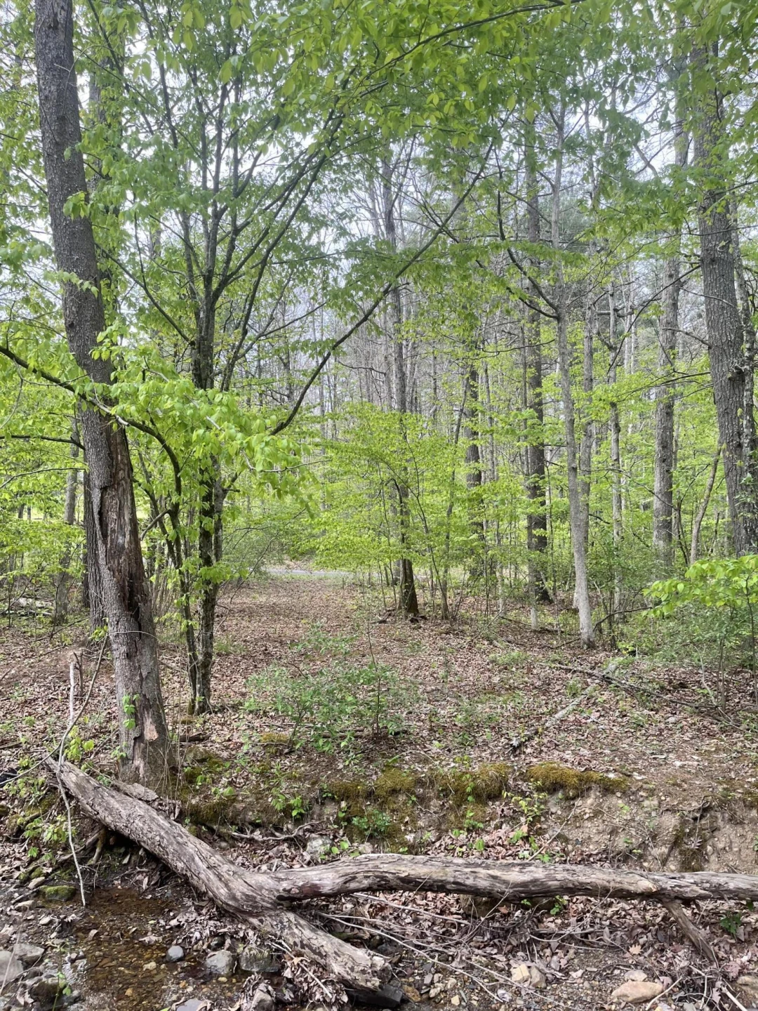 383 Creekside Dr - Photo 26