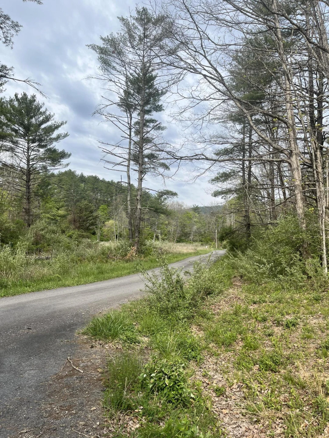 383 Creekside Dr - Photo 3