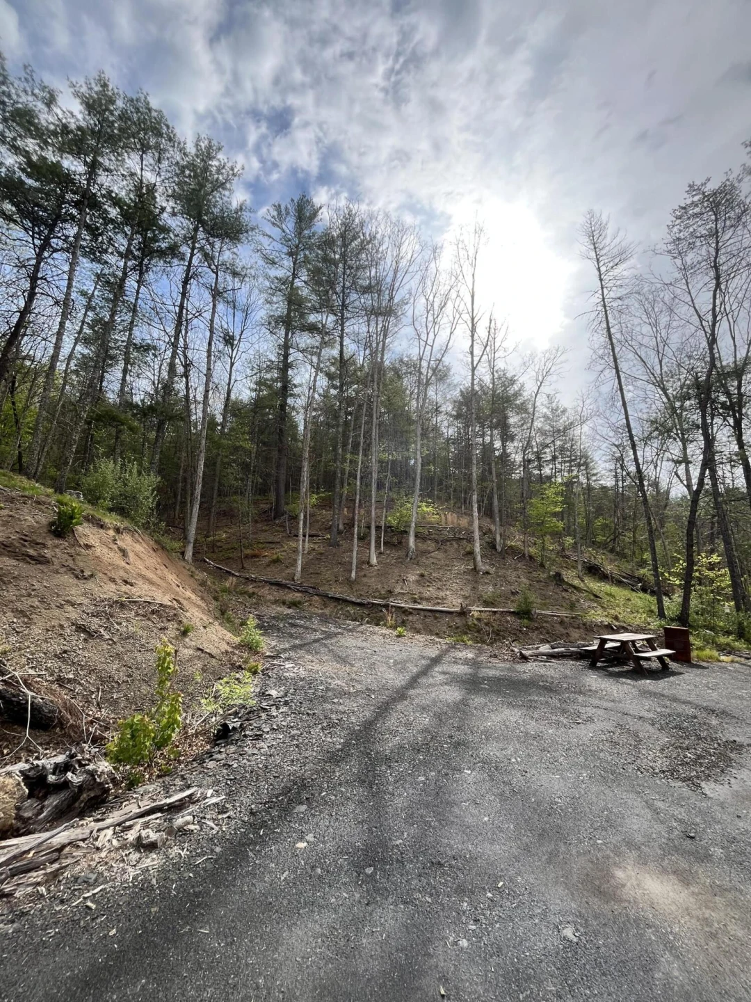 383 Creekside Dr - Photo 4