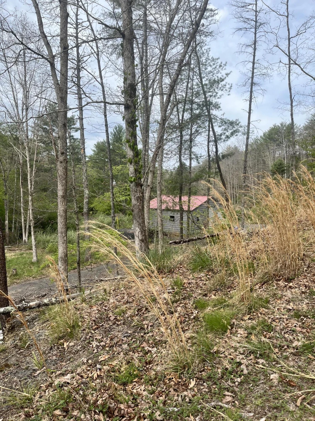 383 Creekside Dr - Photo 7