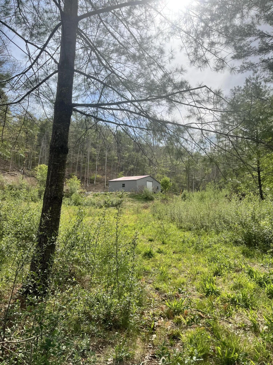383 Creekside Dr - Photo 8