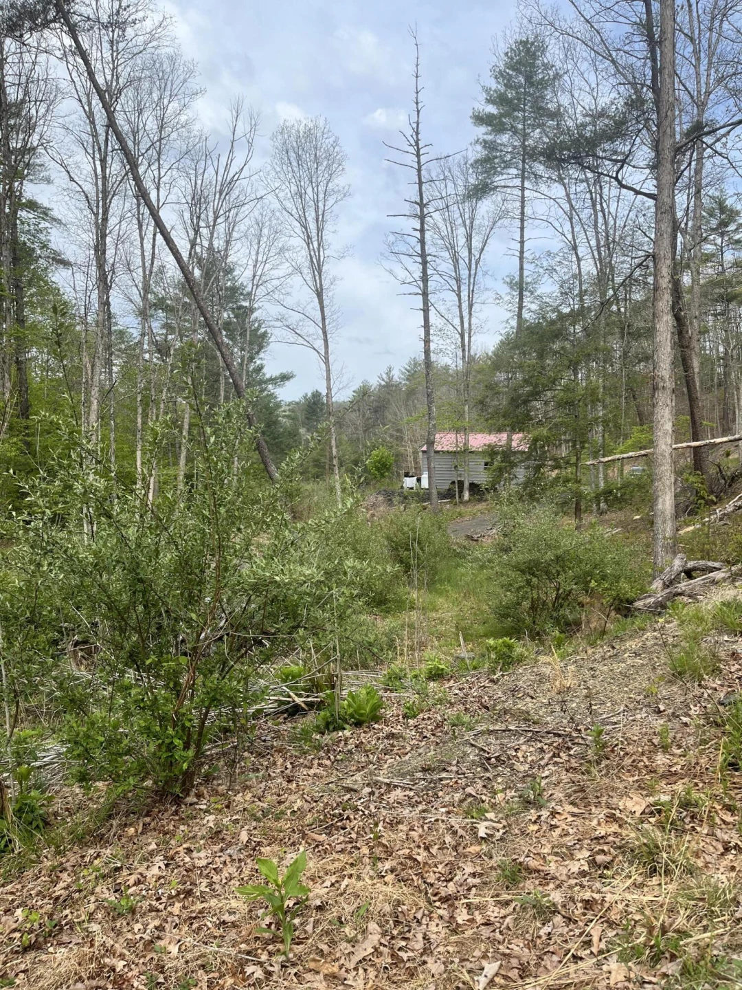383 Creekside Dr - Photo 9