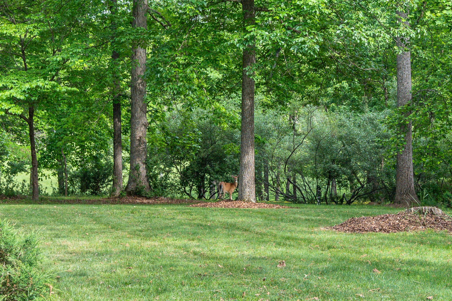 29 Deer Haven Dr - Photo 41
