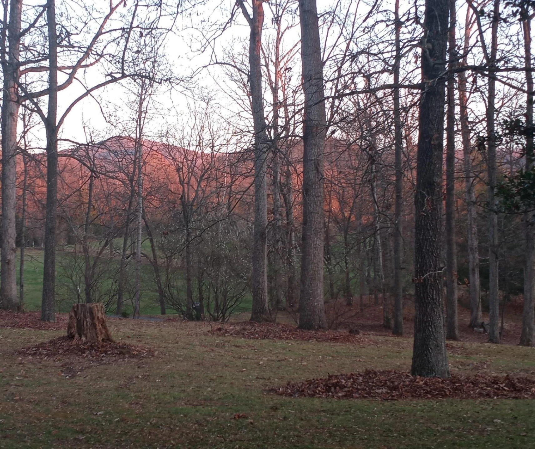 29 Deer Haven Dr - Photo 43