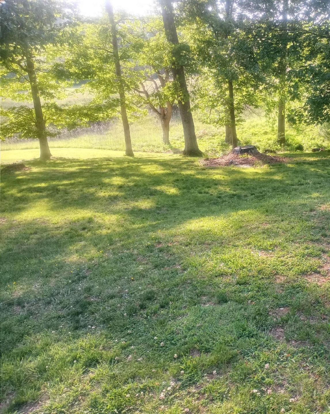 29 Deer Haven Dr - Photo 46