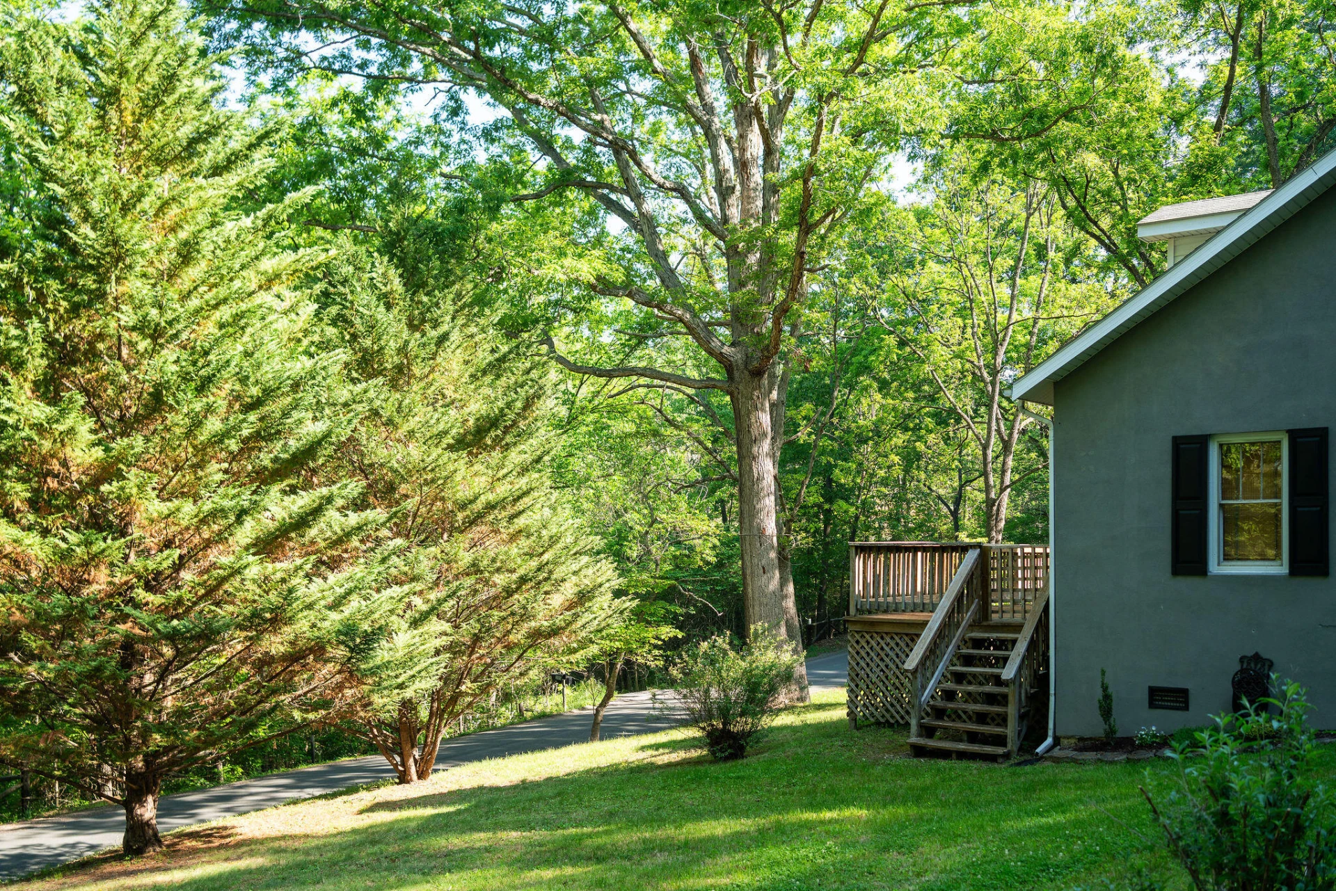 378 Forest Grove Rd - Photo 44