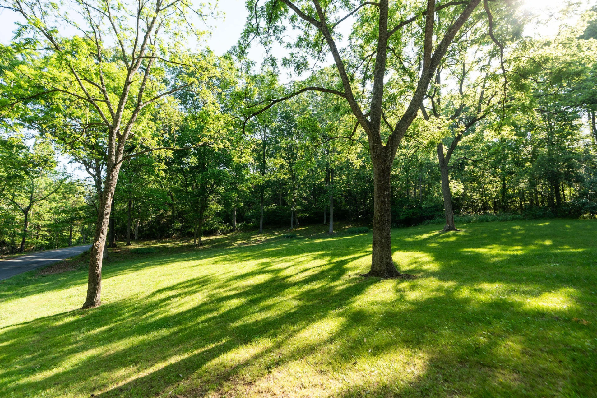 378 Forest Grove Rd - Photo 9
