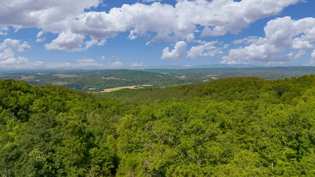 18  Acres Blake Rd, Buchanan, VA, 24066