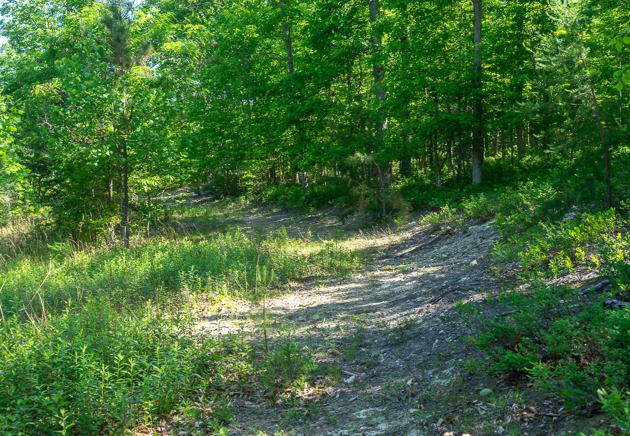 18  Acres Blake Rd - Photo 15