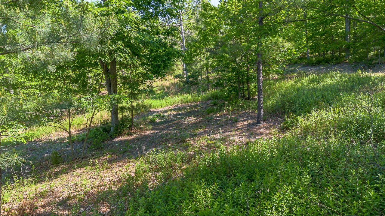 18  Acres Blake Rd - Photo 17