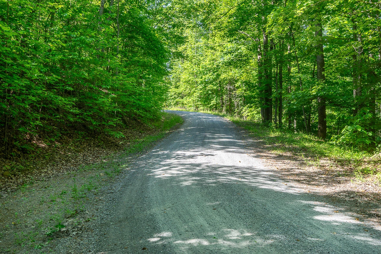 18  Acres Blake Rd - Photo 18