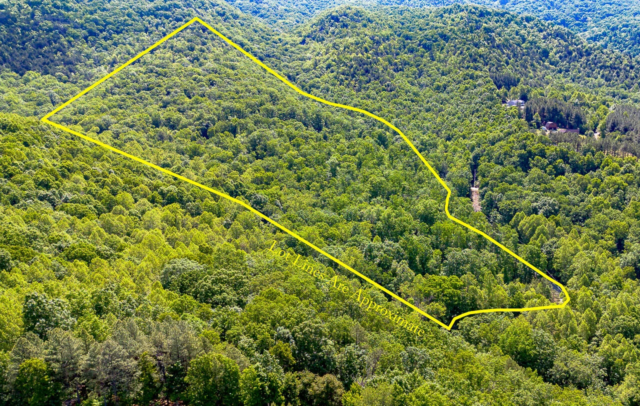 18  Acres Blake Rd - Photo 20
