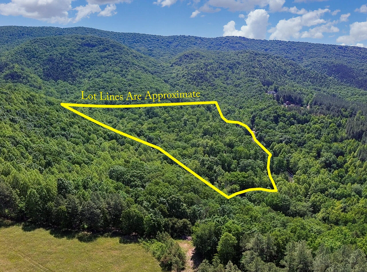 18  Acres Blake Rd - Photo 21