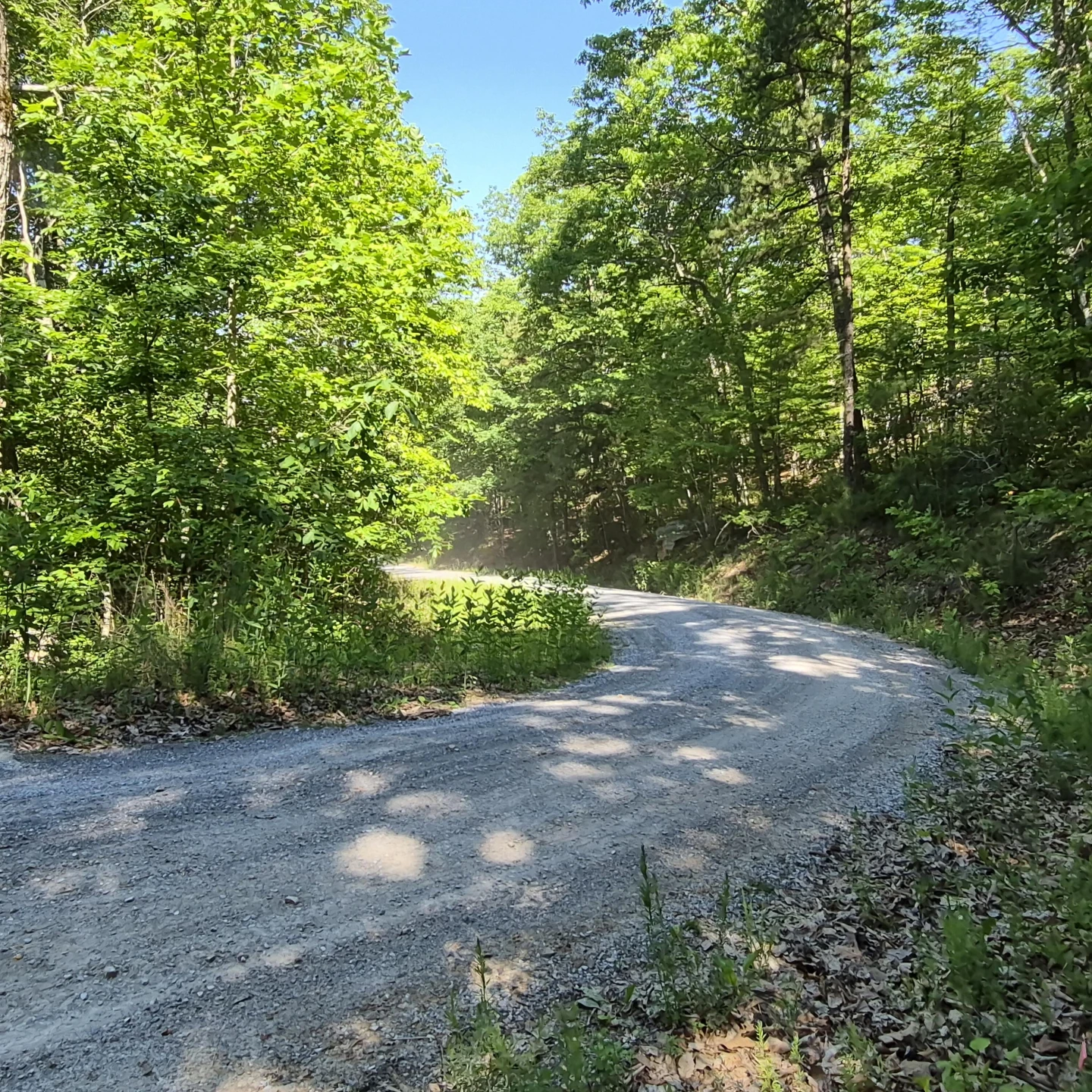 18  Acres Blake Rd - Photo 22