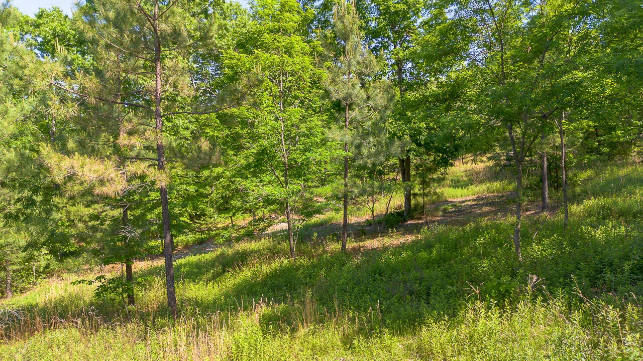 18  Acres Blake Rd - Photo 7