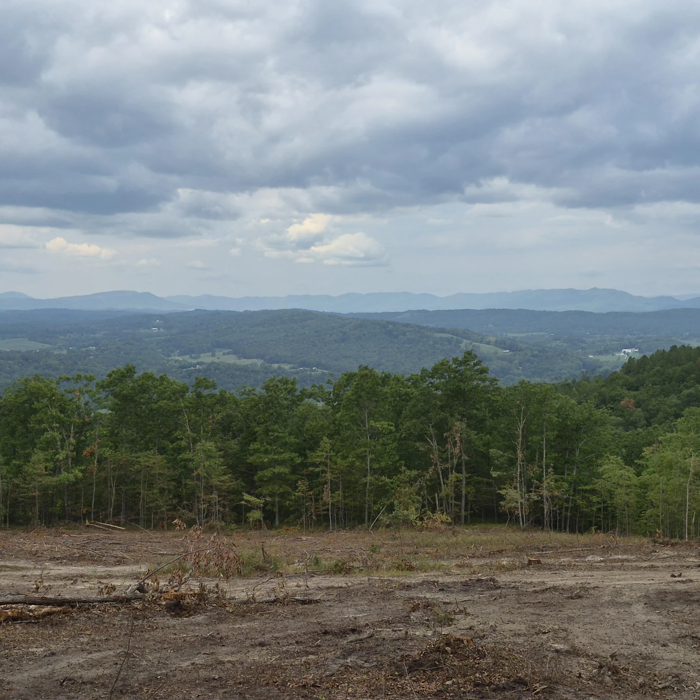 18  Acres Blake Rd - Photo 4