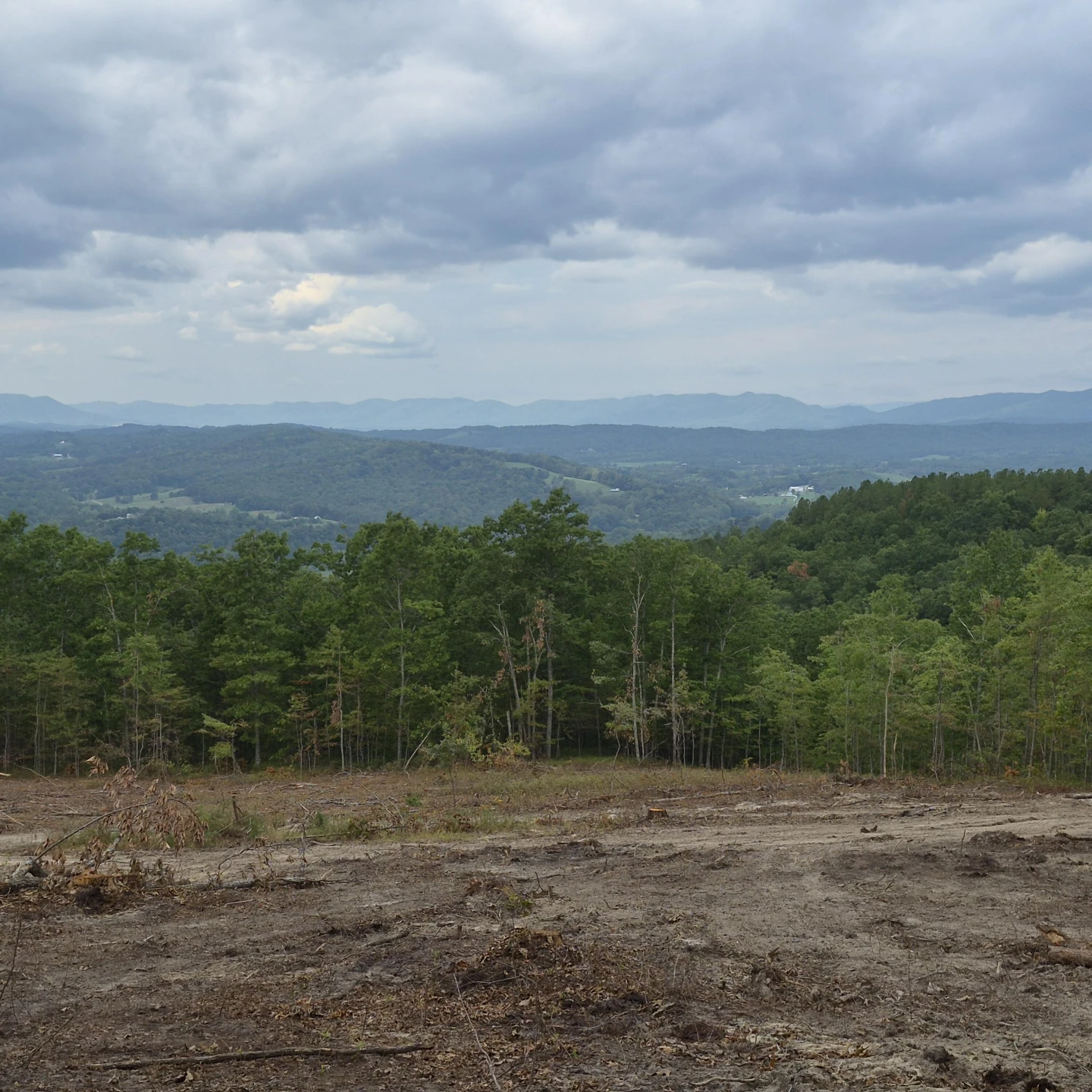18  Acres Blake Rd - Photo 8