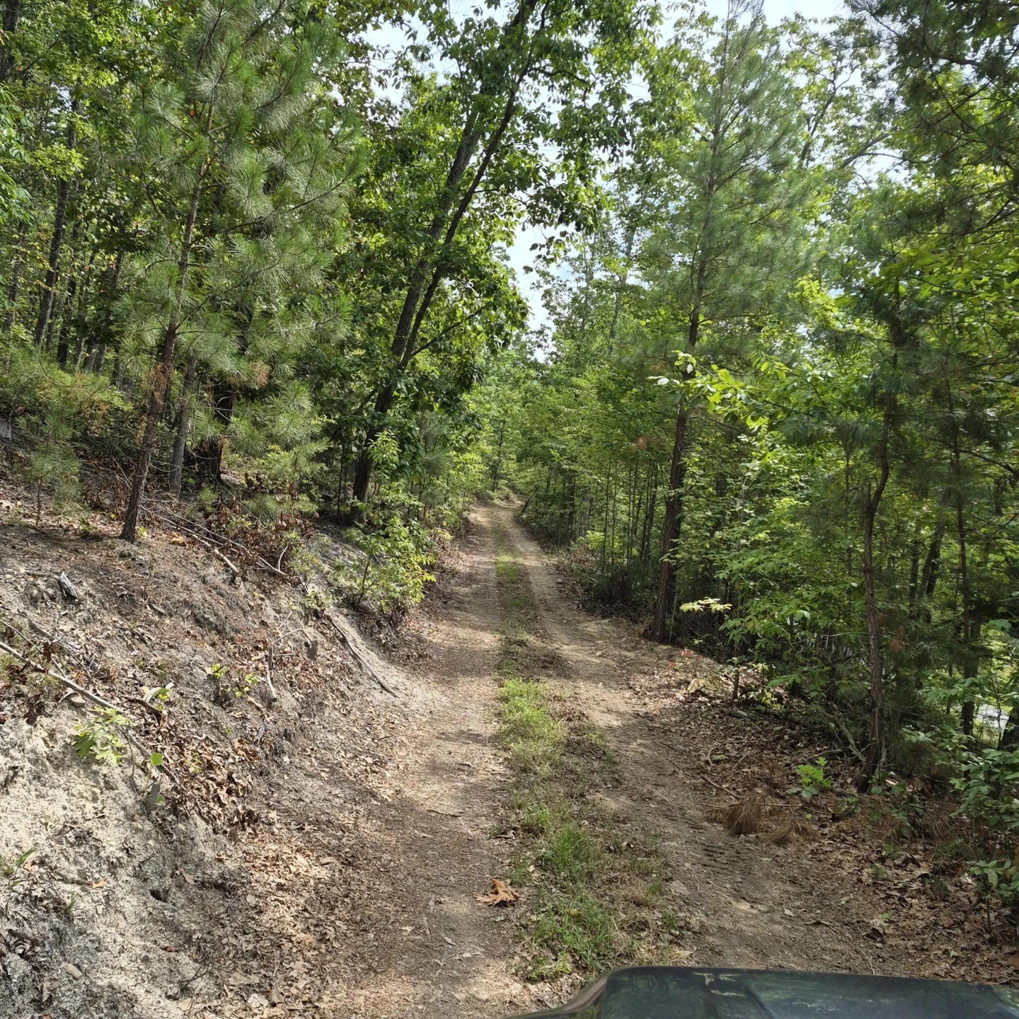 18  Acres Blake Rd - Photo 24