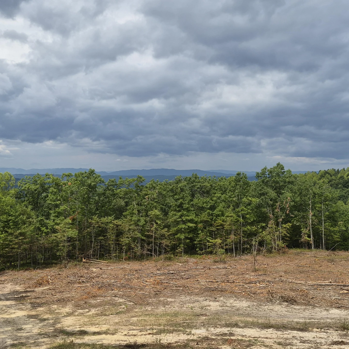 18  Acres Blake Rd - Photo 25