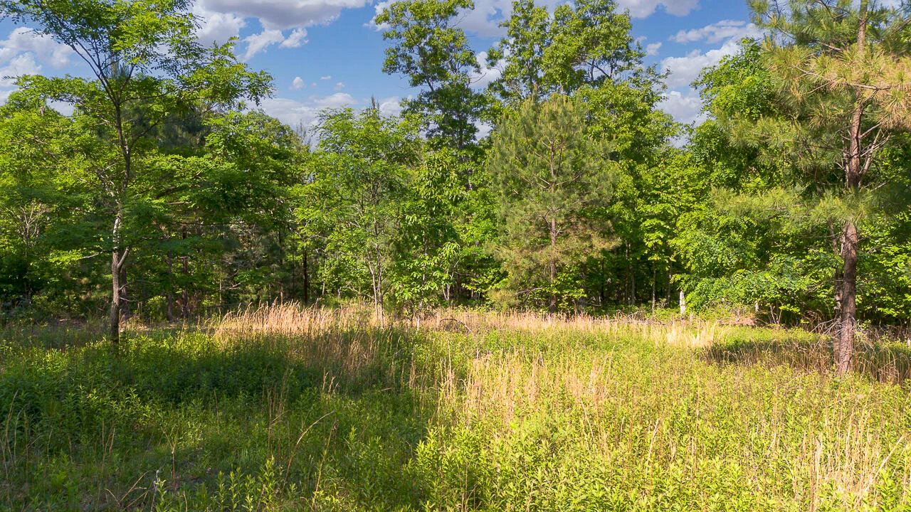 18  Acres Blake Rd - Photo 13