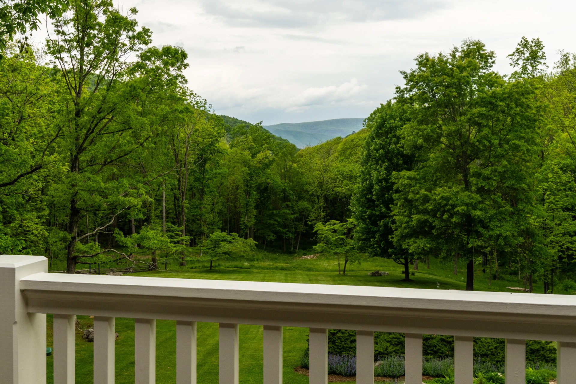 229 Woodside Ln - Photo 22